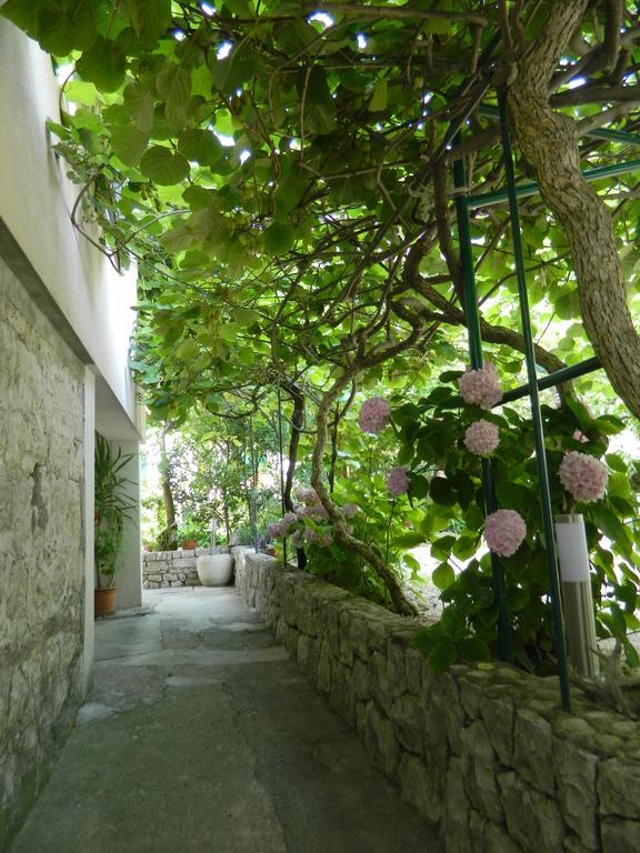 Apartments Marino Дрвеник Экстерьер фото